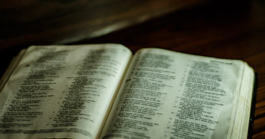 The Olive Tree in Scripture: Symbol of God's Faithfulness